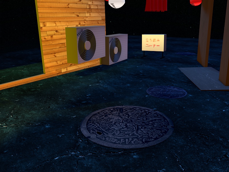 2016-02-29-manhole2
