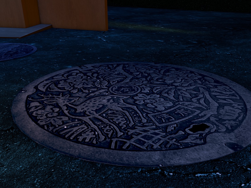 2016-02-29-manhole3